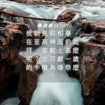 Picture 04 - 彌 迦 書 6:6 CUVT - 我 朝 見 耶 和 華 ， 在 至 高 神 面 - Bible Verse Picture