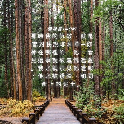 Picture 04 - 彌 迦 書 7:10 CUVT - 那 時 我 的 仇 敵 ， 就 是 曾 對 我 - Bible Verse Picture