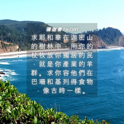 Picture 04 - 彌 迦 書 7:14 CUVT - 求 耶 和 華 在 迦 密 山 的 樹 林 中 - Bible Verse Picture