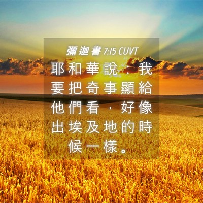 Picture 04 - 彌 迦 書 7:15 CUVT - 耶 和 華 說 ： 我 要 把 奇 事 顯 給 - Bible Verse Picture