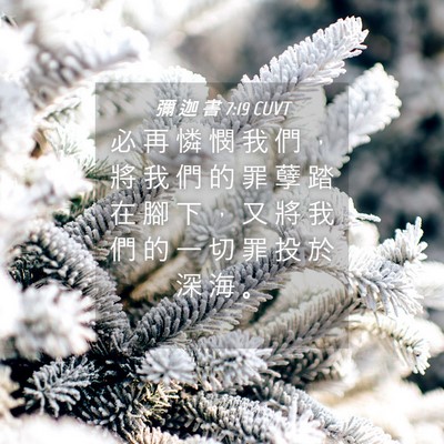 Picture 04 - 彌 迦 書 7:19 CUVT - 必 再 憐 憫 我 們 ， 將 我 們 的 罪 - Bible Verse Picture
