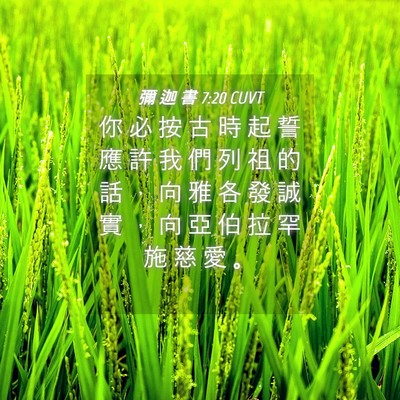 Picture 04 - 彌 迦 書 7:20 CUVT - 你 必 按 古 時 起 誓 應 許 我 們 列 - Bible Verse Picture