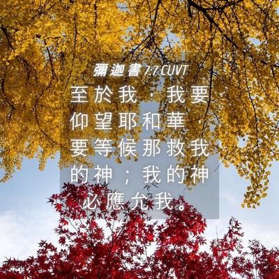 Picture 04 - 彌 迦 書 7:7 CUVT - 至 於 我 ， 我 要 仰 望 耶 和 華 ， - Bible Verse Picture