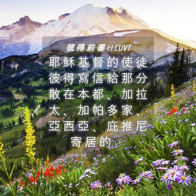 Picture 04 - 彼 得 前 書 1:1 CUVT - 耶 穌 基 督 的 使 徒 彼 得 寫 信 給 - Bible Verse Picture