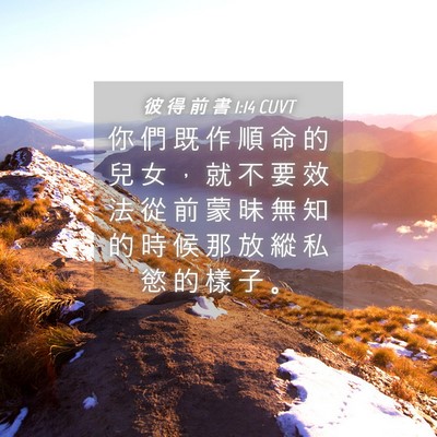 Picture 04 - 彼 得 前 書 1:14 CUVT - 你 們 既 作 順 命 的 兒 女 ， 就 不 - Bible Verse Picture