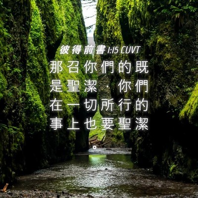 Picture 04 - 彼 得 前 書 1:15 CUVT - 那 召 你 們 的 既 是 聖 潔 ， 你 們 - Bible Verse Picture