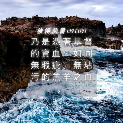 Picture 04 - 彼 得 前 書 1:19 CUVT - 乃 是 憑 著 基 督 的 寶 血 ， 如 同 - Bible Verse Picture