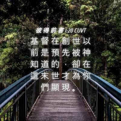 Picture 04 - 彼 得 前 書 1:20 CUVT - 基 督 在 創 世 以 前 是 預 先 被 神 - Bible Verse Picture