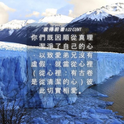 Picture 04 - 彼 得 前 書 1:22 CUVT - 你 們 既 因 順 從 真 理 ， 潔 淨 了 - Bible Verse Picture