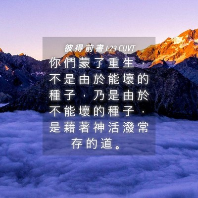 Picture 04 - 彼 得 前 書 1:23 CUVT - 你 們 蒙 了 重 生 ， 不 是 由 於 能 - Bible Verse Picture