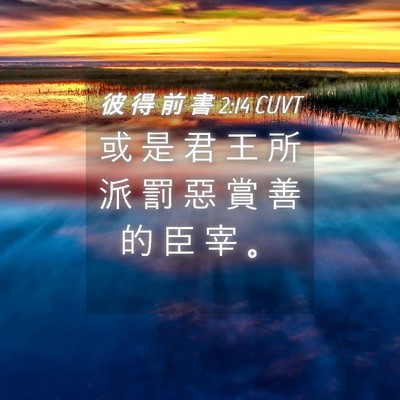 Picture 04 - 彼 得 前 書 2:14 CUVT - 或 是 君 王 所 派 罰 惡 賞 善 的 臣 - Bible Verse Picture