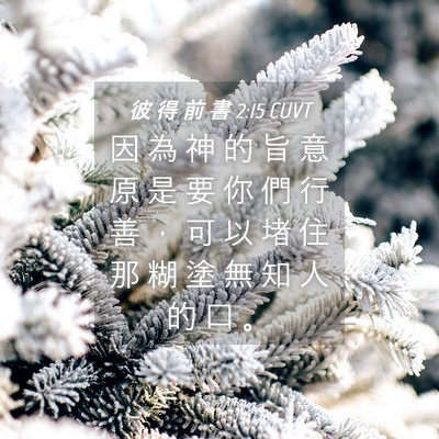 Picture 04 - 彼 得 前 書 2:15 CUVT - 因 為 神 的 旨 意 原 是 要 你 們 行 - Bible Verse Picture