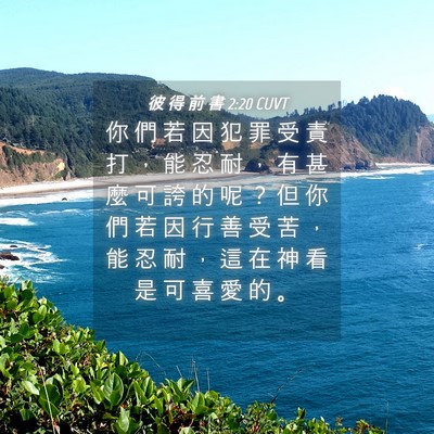 Picture 04 - 彼 得 前 書 2:20 CUVT - 你 們 若 因 犯 罪 受 責 打 ， 能 忍 - Bible Verse Picture