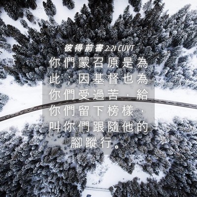 Picture 04 - 彼 得 前 書 2:21 CUVT - 你 們 蒙 召 原 是 為 此 ； 因 基 督 - Bible Verse Picture
