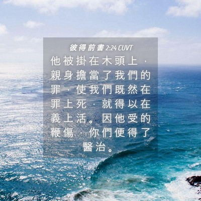 Picture 04 - 彼 得 前 書 2:24 CUVT - 他 被 掛 在 木 頭 上 ， 親 身 擔 當 - Bible Verse Picture