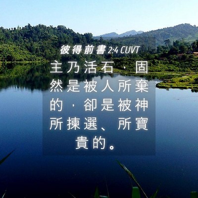 Picture 04 - 彼 得 前 書 2:4 CUVT - 主 乃 活 石 ， 固 然 是 被 人 所 棄 - Bible Verse Picture