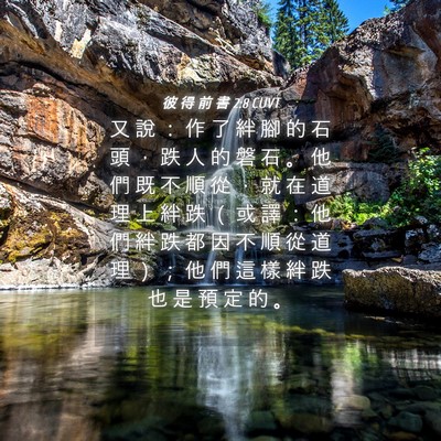 Picture 04 - 彼 得 前 書 2:8 CUVT - 又 說 ： 作 了 絆 腳 的 石 頭 ， 跌 - Bible Verse Picture
