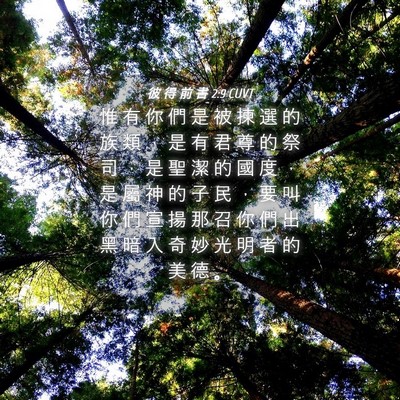 Picture 04 - 彼 得 前 書 2:9 CUVT - 惟 有 你 們 是 被 揀 選 的 族 類 ， - Bible Verse Picture