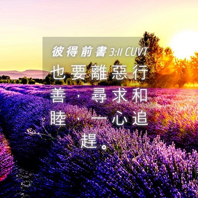 Picture 04 - 彼 得 前 書 3:11 CUVT - 也 要 離 惡 行 善 ， 尋 求 和 睦 ， - Bible Verse Picture