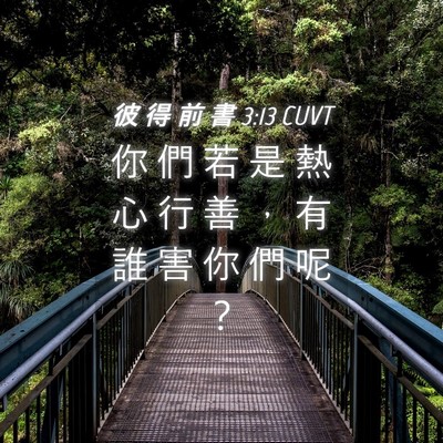 Picture 04 - 彼 得 前 書 3:13 CUVT - 你 們 若 是 熱 心 行 善 ， 有 誰 害 - Bible Verse Picture