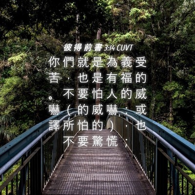 Picture 04 - 彼 得 前 書 3:14 CUVT - 你 們 就 是 為 義 受 苦 ， 也 是 有 - Bible Verse Picture