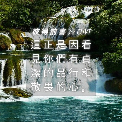 Picture 04 - 彼 得 前 書 3:2 CUVT - 這 正 是 因 看 見 你 們 有 貞 潔 的 - Bible Verse Picture