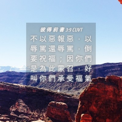 Picture 04 - 彼 得 前 書 3:9 CUVT - 不 以 惡 報 惡 ， 以 辱 罵 還 辱 罵 - Bible Verse Picture