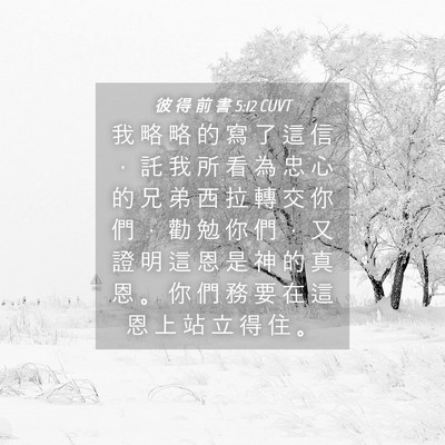 Picture 04 - 彼 得 前 書 5:12 CUVT - 我 略 略 的 寫 了 這 信 ， 託 我 所 - Bible Verse Picture