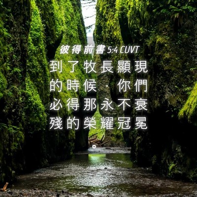 Picture 04 - 彼 得 前 書 5:4 CUVT - 到 了 牧 長 顯 現 的 時 候 ， 你 們 - Bible Verse Picture