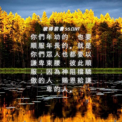 Picture 04 - 彼 得 前 書 5:5 CUVT - 你 們 年 幼 的 ， 也 要 順 服 年 長 - Bible Verse Picture