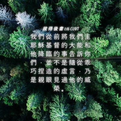 Picture 04 - 彼 得 後 書 1:16 CUVT - 我 們 從 前 將 我 們 主 耶 穌 基 督 - Bible Verse Picture
