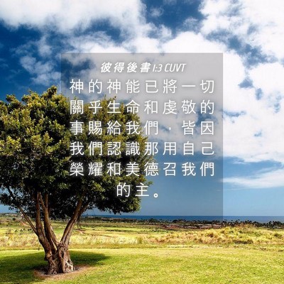 Picture 04 - 彼 得 後 書 1:3 CUVT - 神 的 神 能 已 將 一 切 關 乎 生 命 - Bible Verse Picture