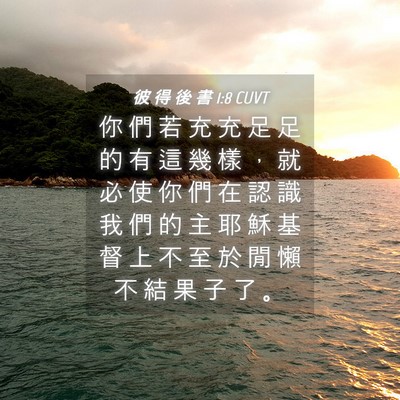 Picture 04 - 彼 得 後 書 1:8 CUVT - 你 們 若 充 充 足 足 的 有 這 幾 樣 - Bible Verse Picture