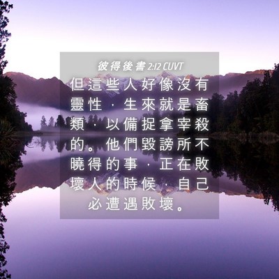 Picture 04 - 彼 得 後 書 2:12 CUVT - 但 這 些 人 好 像 沒 有 靈 性 ， 生 - Bible Verse Picture