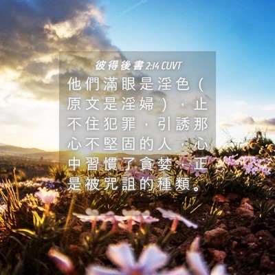 Picture 04 - 彼 得 後 書 2:14 CUVT - 他 們 滿 眼 是 淫 色 （ 原 文 是 淫 - Bible Verse Picture