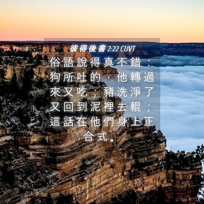 Picture 04 - 彼 得 後 書 2:22 CUVT - 俗 語 說 得 真 不 錯 ： 狗 所 吐 的 - Bible Verse Picture