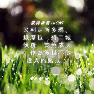 Picture 04 - 彼 得 後 書 2:6 CUVT - 又 判 定 所 多 瑪 、 蛾 摩 拉 ， 將 - Bible Verse Picture