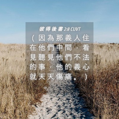 Picture 04 - 彼 得 後 書 2:8 CUVT - （ 因 為 那 義 人 住 在 他 們 中 間 - Bible Verse Picture