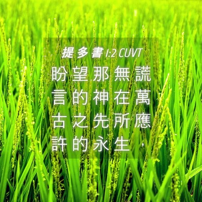 Picture 04 - 提 多 書 1:2 CUVT - 盼 望 那 無 謊 言 的 神 在 萬 古 之 - Bible Verse Picture