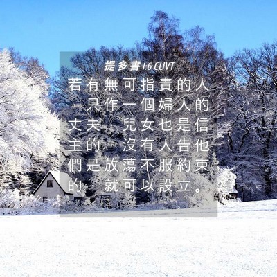 Picture 04 - 提 多 書 1:6 CUVT - 若 有 無 可 指 責 的 人 ， 只 作 一 - Bible Verse Picture