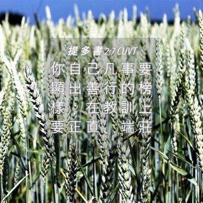 Picture 04 - 提 多 書 2:7 CUVT - 你 自 己 凡 事 要 顯 出 善 行 的 榜 - Bible Verse Picture