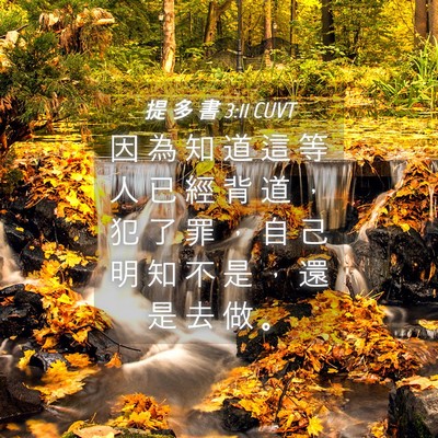 Picture 04 - 提 多 書 3:11 CUVT - 因 為 知 道 這 等 人 已 經 背 道 ， - Bible Verse Picture