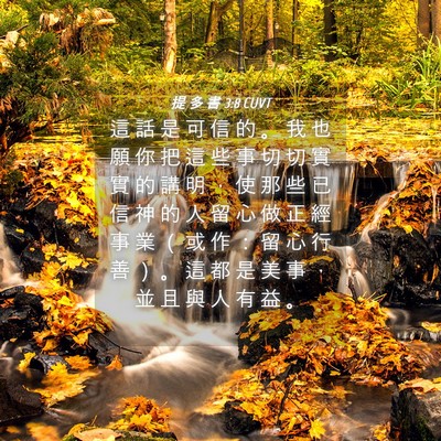 Picture 04 - 提 多 書 3:8 CUVT - 這 話 是 可 信 的 。 我 也 願 你 把 - Bible Verse Picture