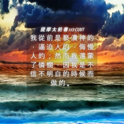 Picture 04 - 提 摩 太 前 書 1:13 CUVT - 我 從 前 是 褻 瀆 神 的 ， 逼 迫 人 - Bible Verse Picture