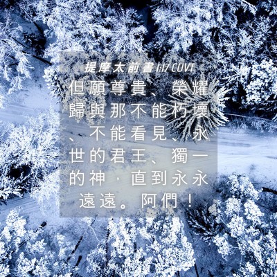 Picture 04 - 提 摩 太 前 書 1:17 CUVT - 但 願 尊 貴 、 榮 耀 歸 與 那 不 能 - Bible Verse Picture