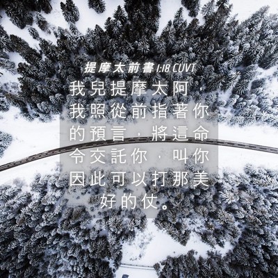 Picture 04 - 提 摩 太 前 書 1:18 CUVT - 我 兒 提 摩 太 阿 ， 我 照 從 前 指 - Bible Verse Picture