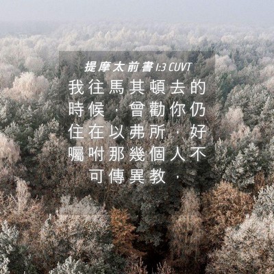 Picture 04 - 提 摩 太 前 書 1:3 CUVT - 我 往 馬 其 頓 去 的 時 候 ， 曾 勸 - Bible Verse Picture