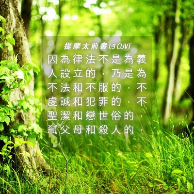 Picture 04 - 提 摩 太 前 書 1:9 CUVT - 因 為 律 法 不 是 為 義 人 設 立 的 - Bible Verse Picture