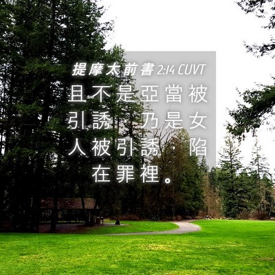 Picture 04 - 提 摩 太 前 書 2:14 CUVT - 且 不 是 亞 當 被 引 誘 ， 乃 是 女 - Bible Verse Picture