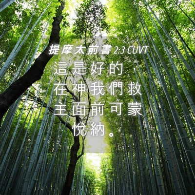Picture 04 - 提 摩 太 前 書 2:3 CUVT - 這 是 好 的 ， 在 神 我 們 救 主 面 - Bible Verse Picture